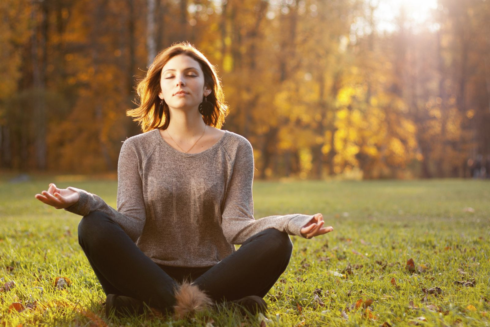 Mindfulness for Beginners: A Guide to Reducing Stress and Improving Focus - Best Brain Works